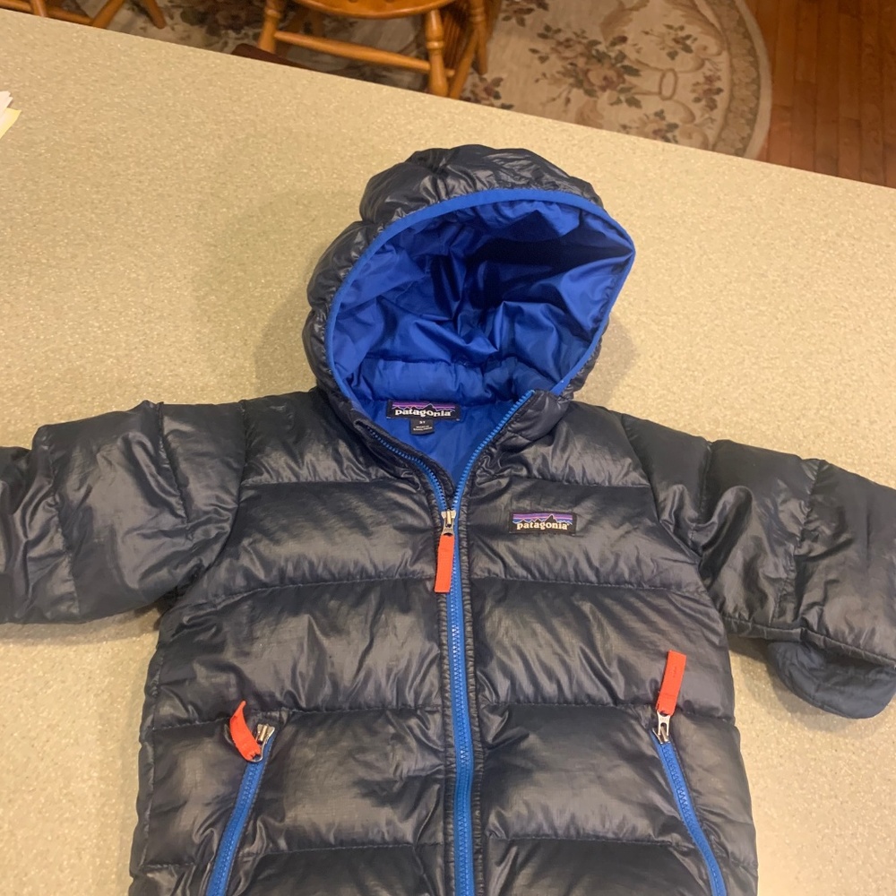 Patagonia Hi-Loft Down Sweater Hooded Jacket